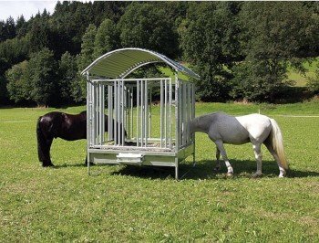 Wie soll ich mein junges Pferd über Hindernis beim springreiten starten?